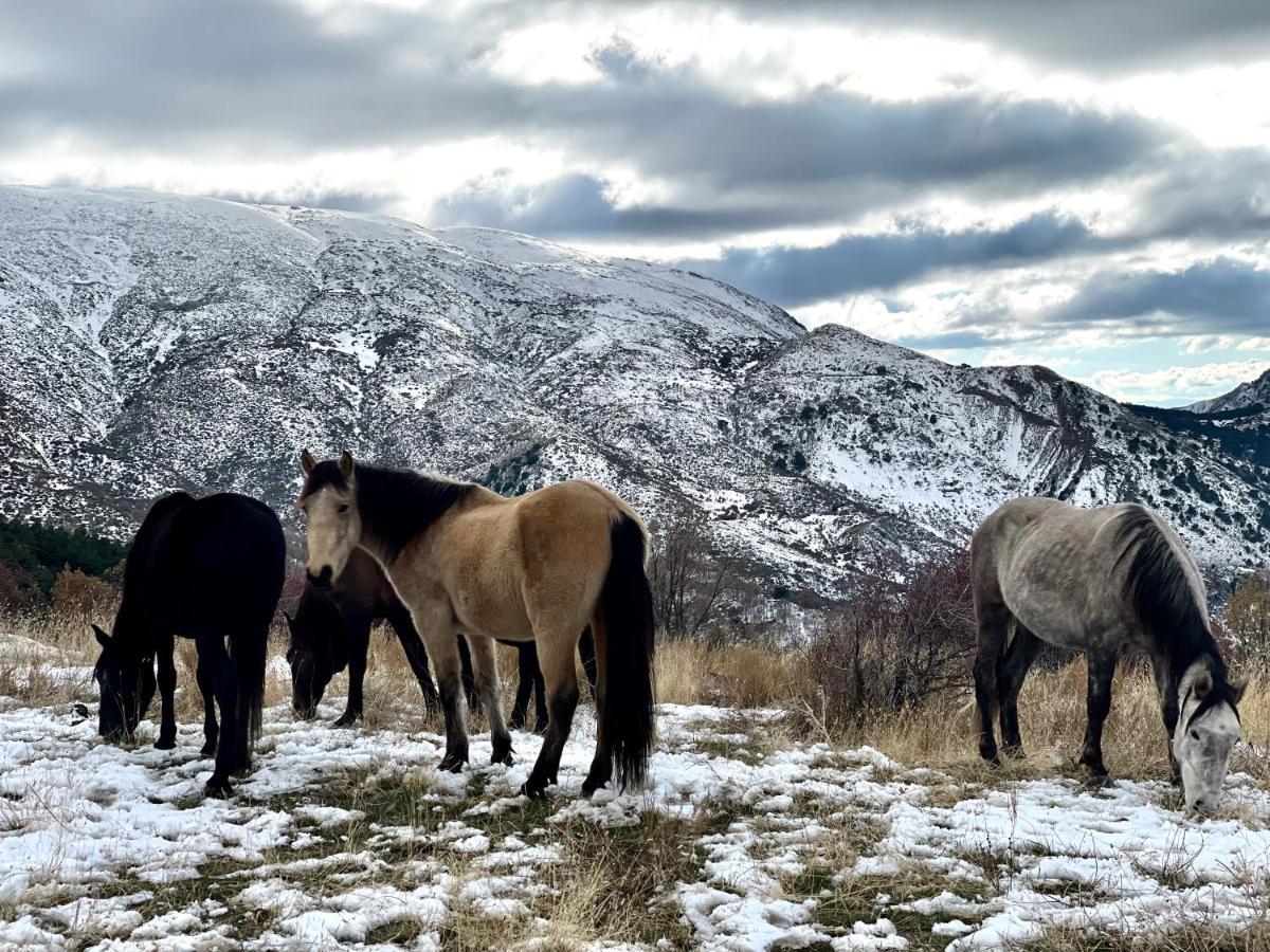 Monte Oiz Con Wifi Y Parking Gratis Apartman Sierra Nevada Kültér fotó